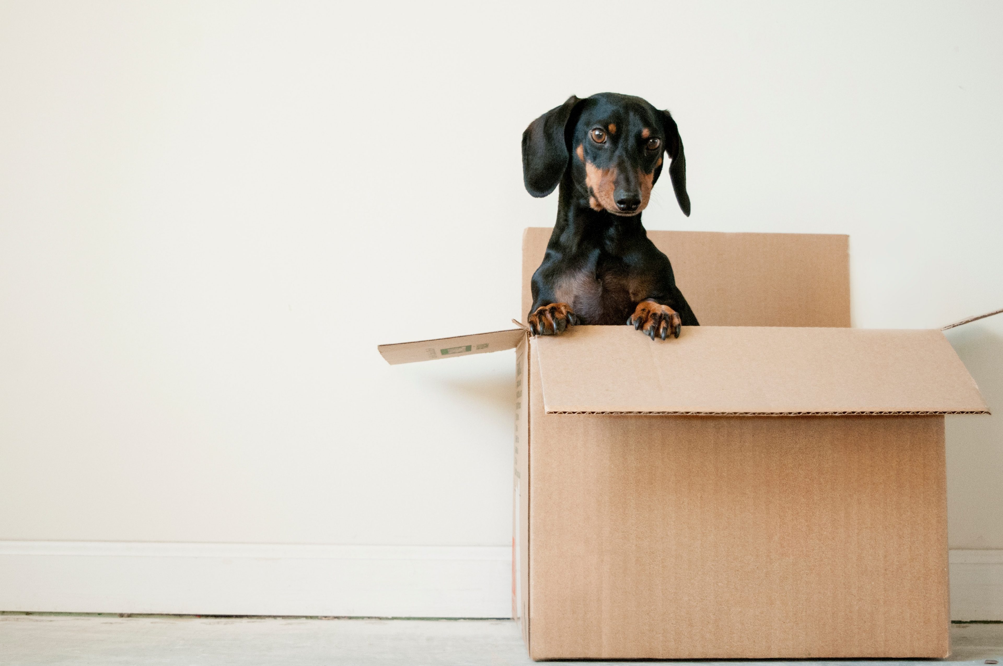 Budgeting tips for moving out of home — without emptying your savings